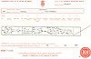 Birth Cert - Abraham-Sarah Hannah