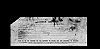 Military Record - Cohen, Henry p17 Military Record - Cohen, Henry p17