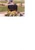 Tombstone - Curno, Patricia Gertrude Tombstone - Curno, Patricia Gertrude